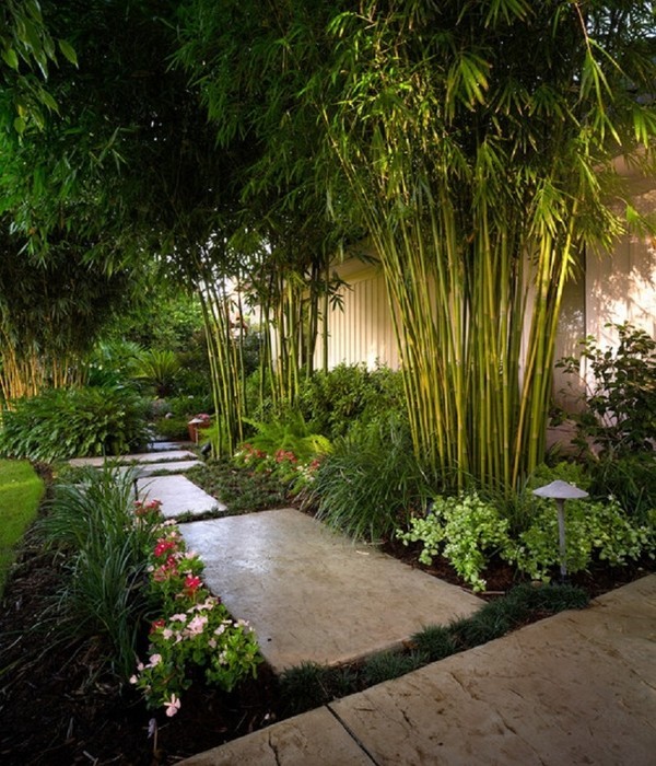 Grüne Oase im Hinterhof Bambus schöne Gartenpflanzen Gartenweg aus Steinplatten moderner Außenbereich voller Naturschönheiten