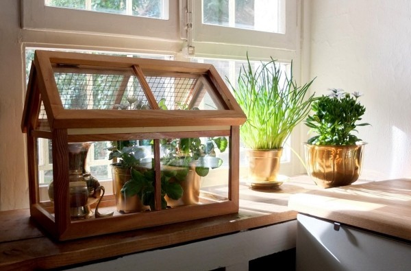 Mini Gewächshaus stilvolles Design auffallend auf der Fensterbank