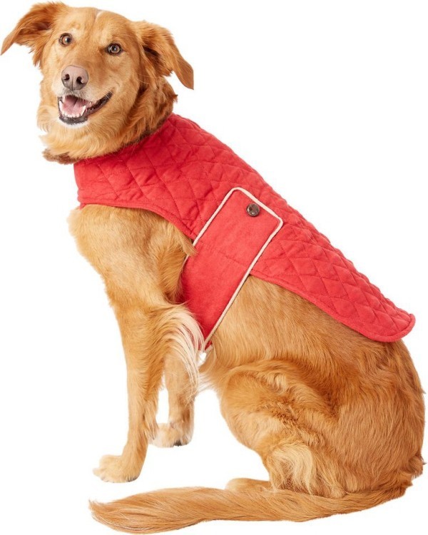 Valentinstag Geschenke Dog Jacket Geschenk für den Hund