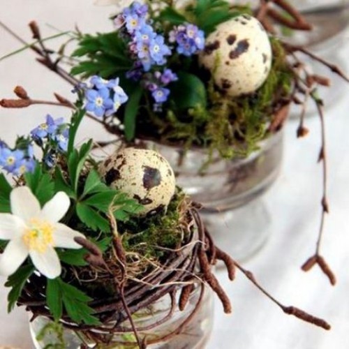 Blumendeko zu Ostern Nester mit Moos blauen und weißen Blüten gesprenkelte Eier