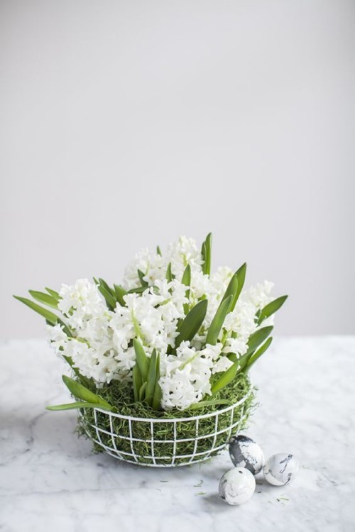 Blumendeko zu Ostern ein Korb mit Moos und weißen Frühlingsblumen