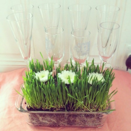 Blumendeko zu Ostern eine Glasschale mit Gras und Frühlingsblumen einfache Osterdekoration