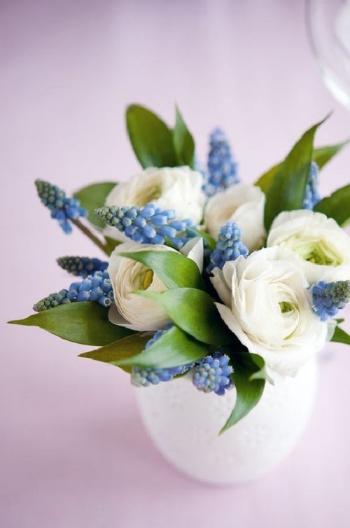 Blumendeko zu Ostern weißer Ranunkel und blaue Traubenhyazinthe