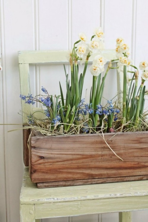Wunderschöne Blumenarrangements Narzissen Hyazinthen im Holzkasten
