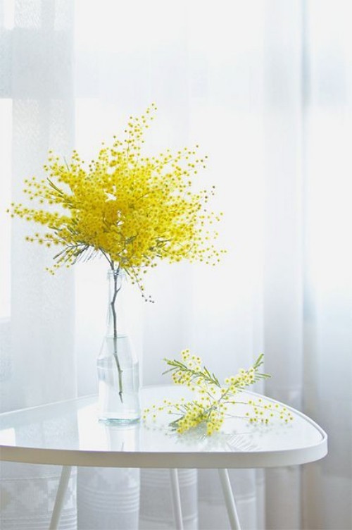 Wunderschöne Blumenarrangements gelbe Forsythien Zweige auf weißem Kaffeetisch