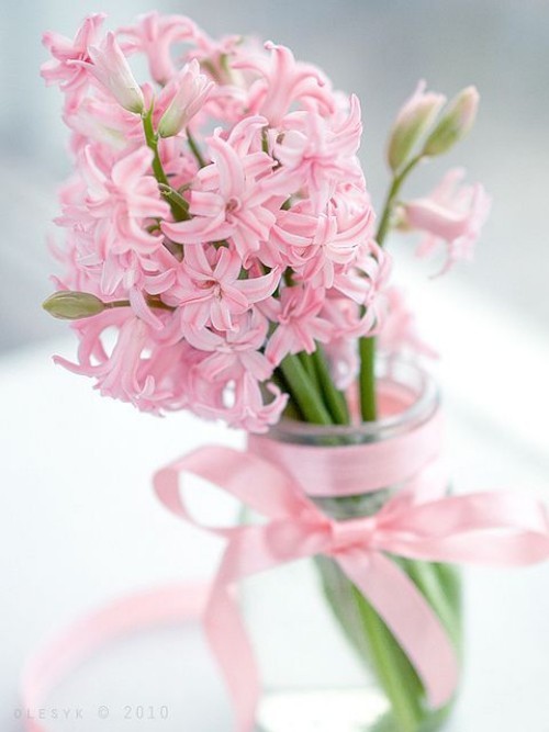 Wunderschöne Blumenarrangements rosa Hyazinthen im Glas