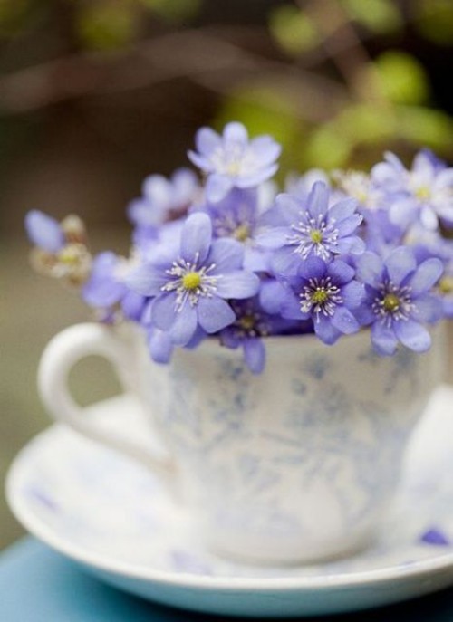 Wunderschöne Blumenarrangements zarte blaue Blüten in Kaffeetasse