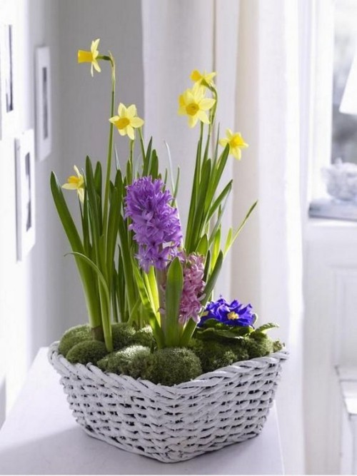 weißer Korb mit Moos und gelben und Violetten Blüte