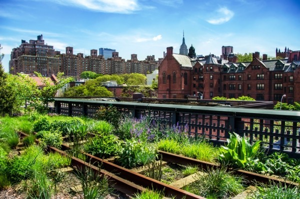 Urban Gardening Großstadtbild keine leeren Flächen mehr als wird begrünt und bearbeitet