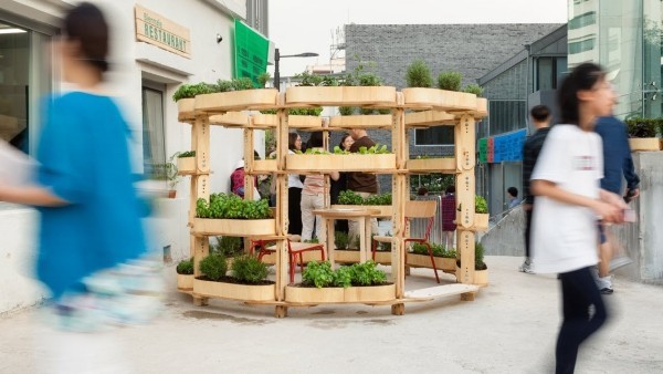 Urban Gardening Kräuterregale in runder Form Cafes Lokale