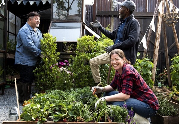 Urban Gardening Leute verschiedener Herkunft und Alters arbeiten und kommunizieren zusammen
