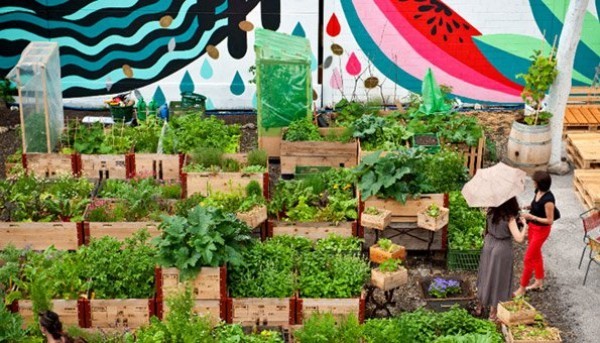 Urban Gardening Markt mit frischen Gartenproduktion
