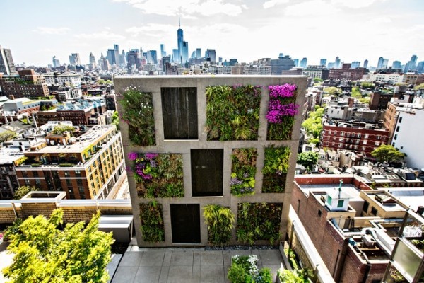 Urban Gardening Regalwand mit Kräutern bringt mehr Farbe ins Bild
