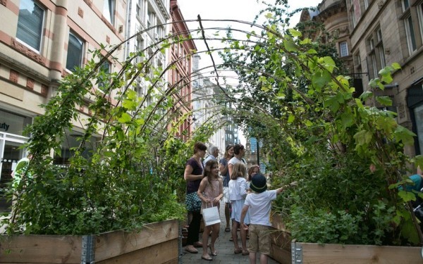 Urban Gardening Spalier aus grünen Kletterpflanzen in der Stadtmitte