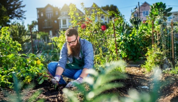 Urban Gardening sinnvolle Freizeitbeschäftigung eigene Lebensweise verbessern