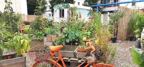 Urban Gardening tägliche Gartenarbeit im Freien sinnvolle Freizeitbeschäftigung