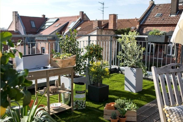 Urban Gardening weite Balkone Hausdächer begrünen und nach den prinzipien des städtischen Gärtners bearbeiten
