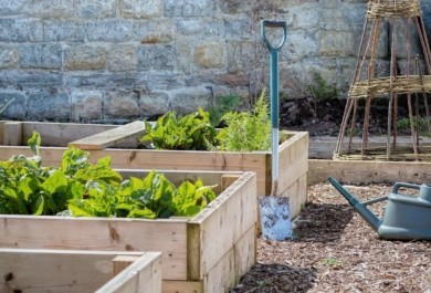 Urban Gardening – die moderne Alternative gegen unpersönliches Stadtleben