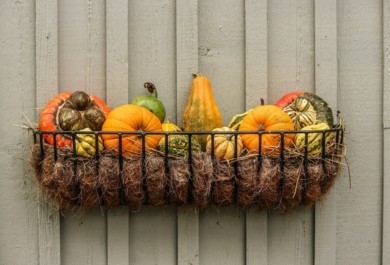 Clevere Ideen für Ihre Herbstdeko mit Tannenzapfen – was kann man alles machen?
