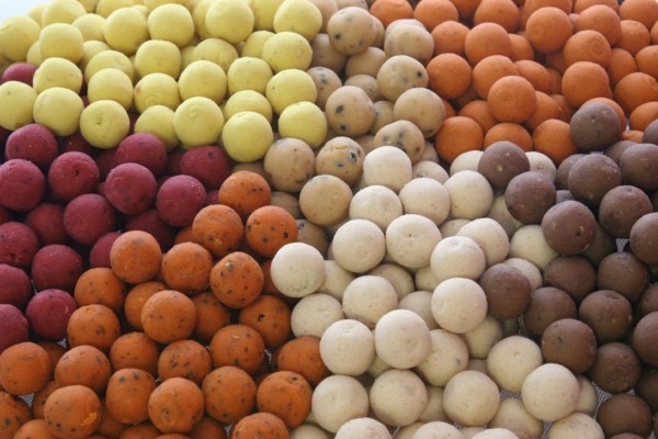different colors of boilies for carp fishing 