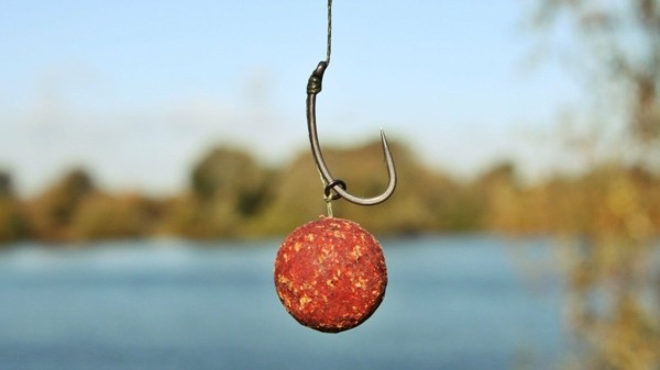 Attach boilies correctly 
