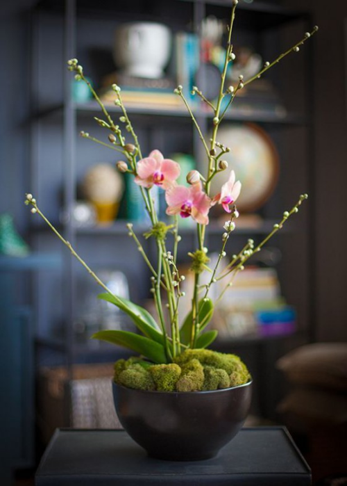 Frühlingsdeko mit Moos Schale mit Moos rosa Blüten Zweige mit Knospen ein Einzelstück