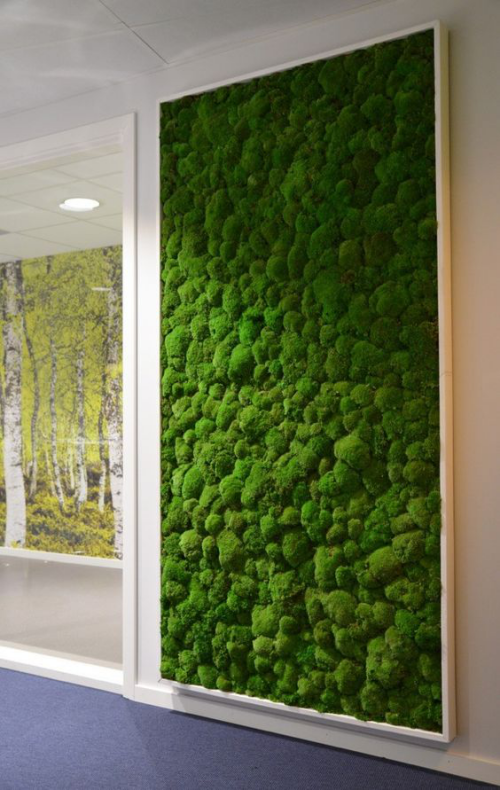 Frühlingsdeko mit Moos eine ganze grüne Wand in Rahmen gestalten