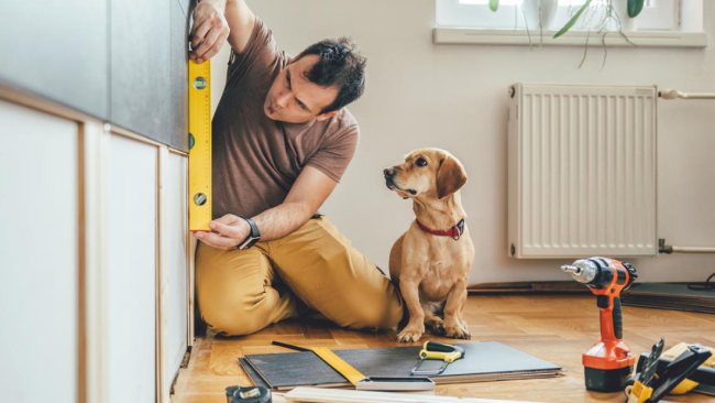 DIY Handwerken zu Hause junger Mann beim Messen Hund daneben Werkzeuge