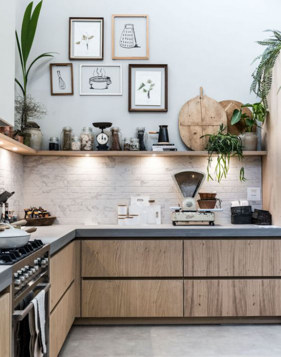 Küchenarbeitsplatten aus Beton modernes Küchendesign Unterschränke aus Holz oben Regale grüne Topfpflanzen Wandbilder