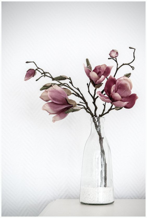 Magnolie richtig pflegen schöne Blüten in der Vase Raumdekoration Blickfang