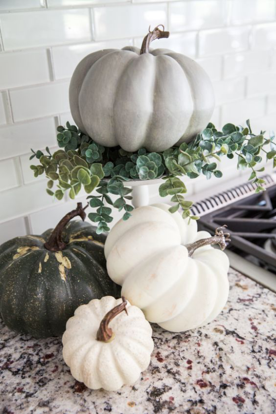 Kürbisse auf Ständer Herbstdeko interessantes Arrangement in der Küche auf der Arbeitsplatte in der Ecke