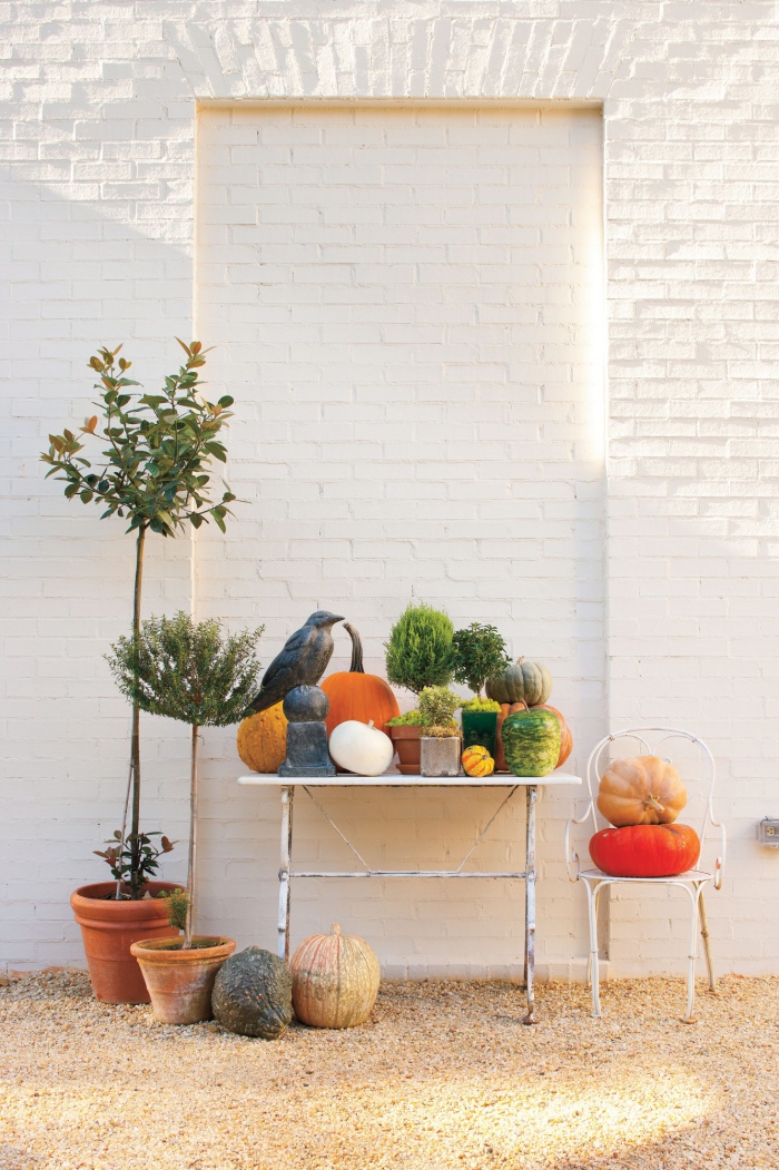 Herbstdeko kinderleichte Ideen zum Nachmachen für draußen ein kleiner Tisch Kürbisse etwas Grün Rabe Topfpflanzen daneben