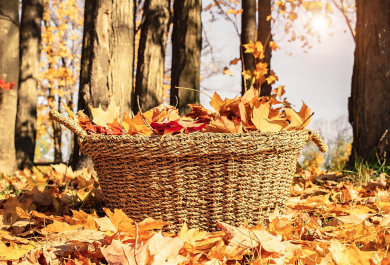 Schönste Herbstdeko mit Wow-Effekt + kurze Anleitungen dazu