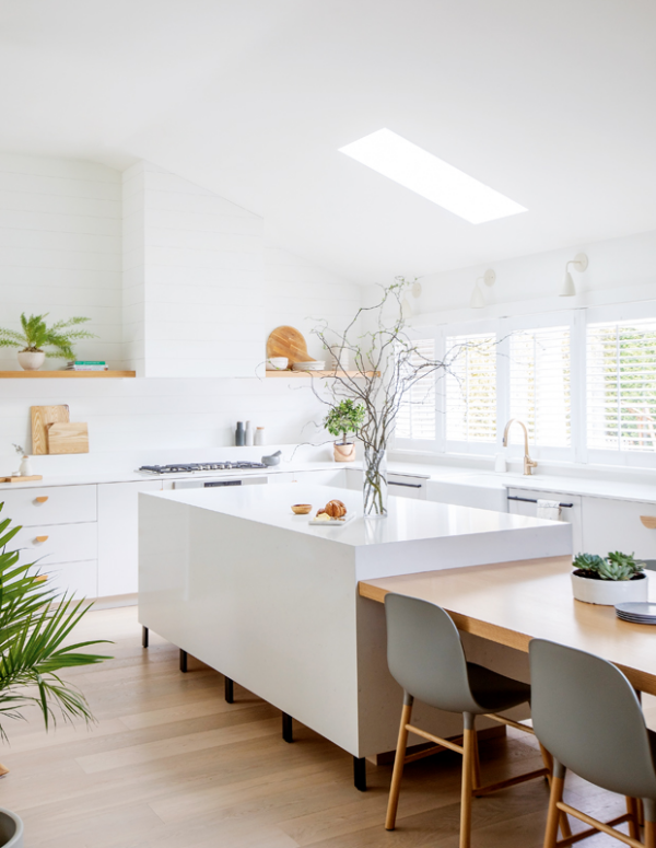 Küchentrends 2021 weiße Küche sehr elegant gestaltet schöne Grünpflanzen als frische Akzente