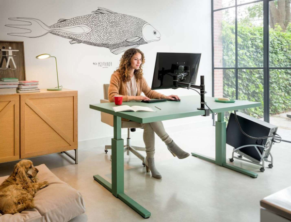 Clevere Büroeinrichtung ergonomische Möbel ein Muss im Home Office junge Frau am Schreibtisch vor PC