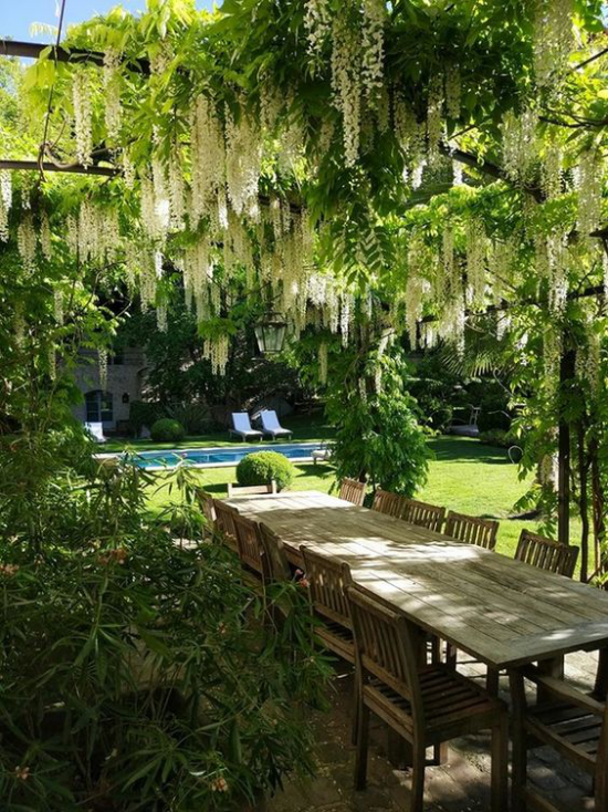 Essecke im Grünen schöne Gartenlandschaft viel Grün Pool im Hintergrund gedeckter Tisch unter der weinenden Weide