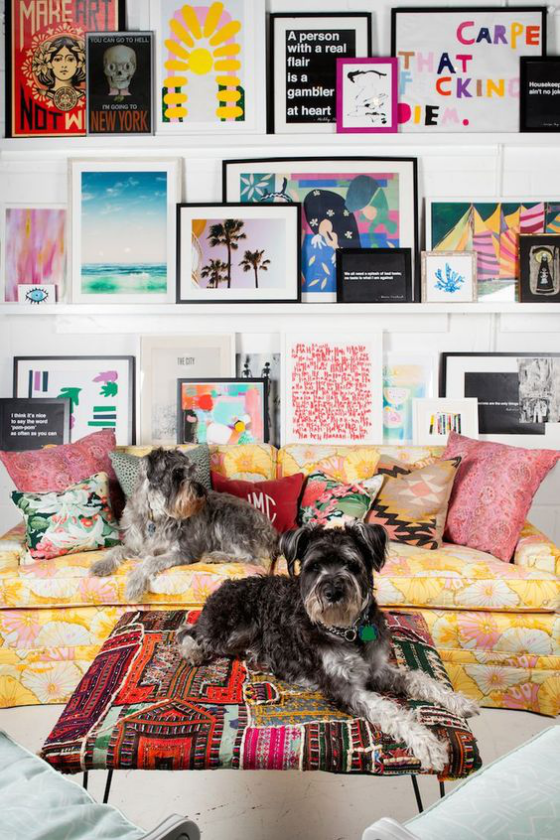 Fotowand auf Leisten sehr bunte Raumgestaltung farbenfrohe Bilder Grafiken Zeichnungen zwei Hunde