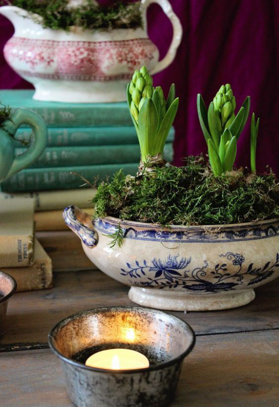 Hyazinthen in einer alten Suppenschüssel gepflanzt eine rustikale Blumendekoration