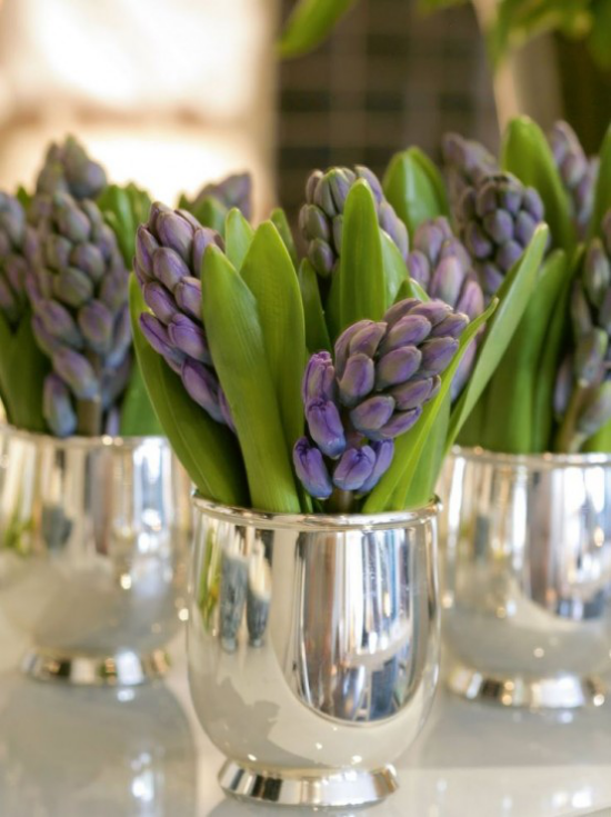 Hyazinthen lila Blüten in silbernen Gefäßen stilvolle Deko gute Laune