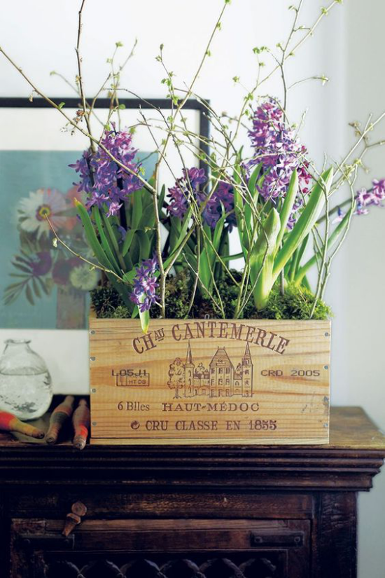 Hyazinthen violette Blüten blühende Frühlingszweige im Vintage Holzkasten