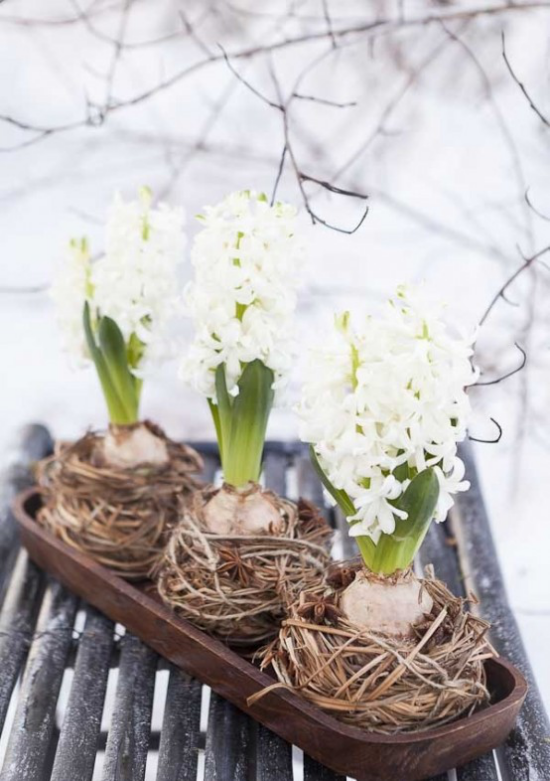 Hyazinthen weiße Blüten Vintage Arrangement für draußen weiße Blüten gewobene Zweige Wurzeln im Holzgefäß