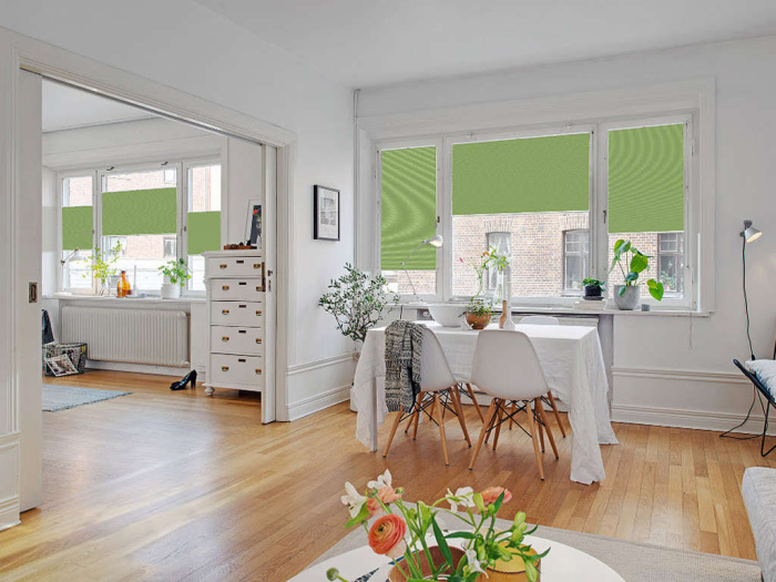 Plissees bester Sonnenschutz zu Hause großer offener Raum grüne Plisseerollos an den Fenstern guter Sichtschutz