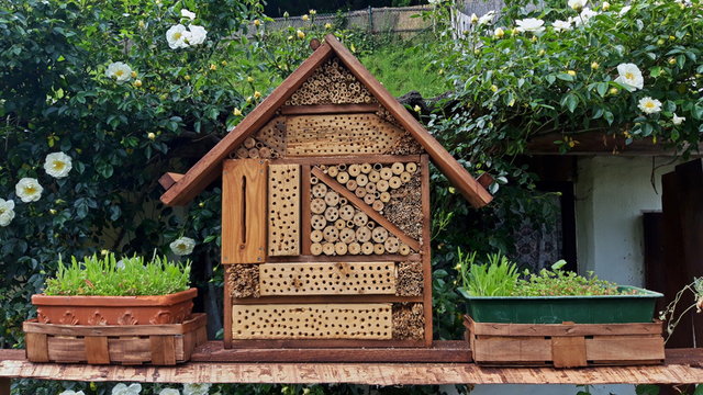 Das eigene Zuhause aus anderem Blickwinkel betrachten Insektenhotel für den Garten selber bauen gut für die Umwelt