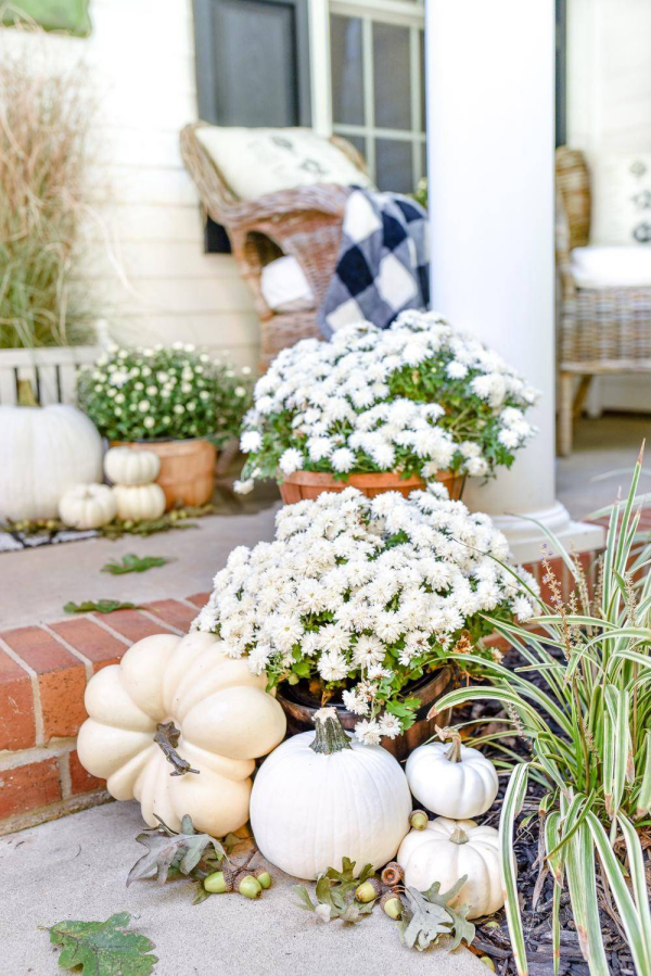 Herbstdeko vor der Haustur weise Chrysanthemen weise Kurbisse auf der Veranda herrlicher Blick
