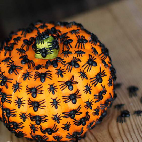 Halloween Deko mit Kurbissen gruselige Idee orangefarbener Kurbis mit schwarzen Spinnen
