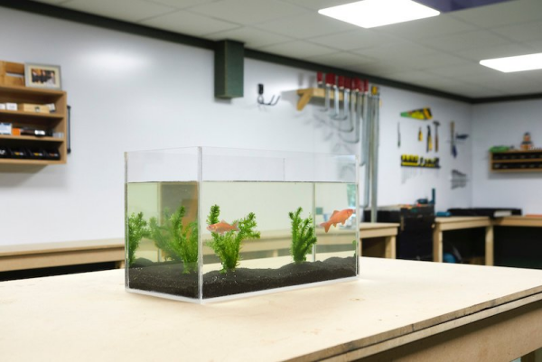 Plexiglas Plexiglasscheibe ein Aquarium selber basteln handwerkliches Geschick zeigen
