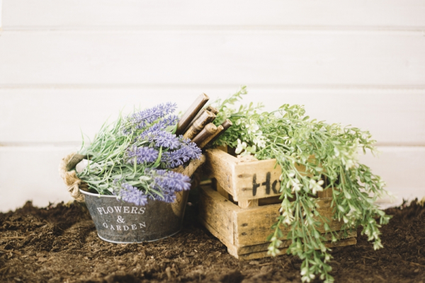 Lavendel schneiden Legen Sie Wert auf den Rückschnitt im Frühjahr!