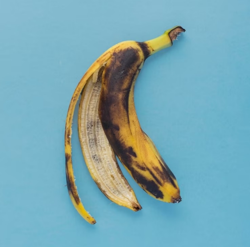 bananenschalen als duenger gartentipps und tricks
