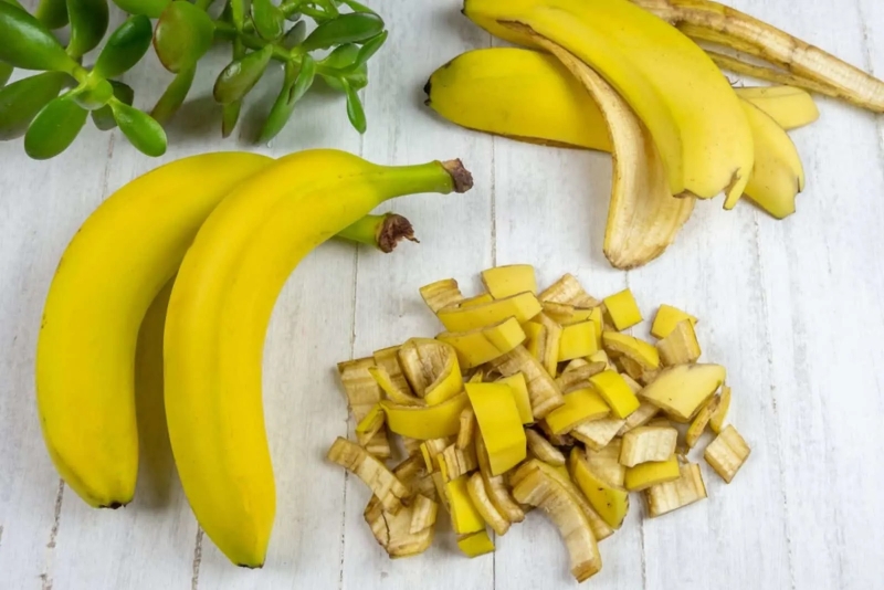 bananenschalen als duenger verwenden gartentipps pflanzenpflege