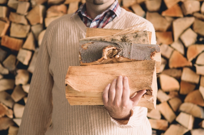 brennholz gut gelagert kammergetrocknet nur von professionellen anbietern kaufen